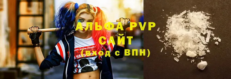 A PVP СК КРИС  Нальчик 